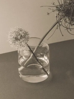Elba Vase | Clear | Medium