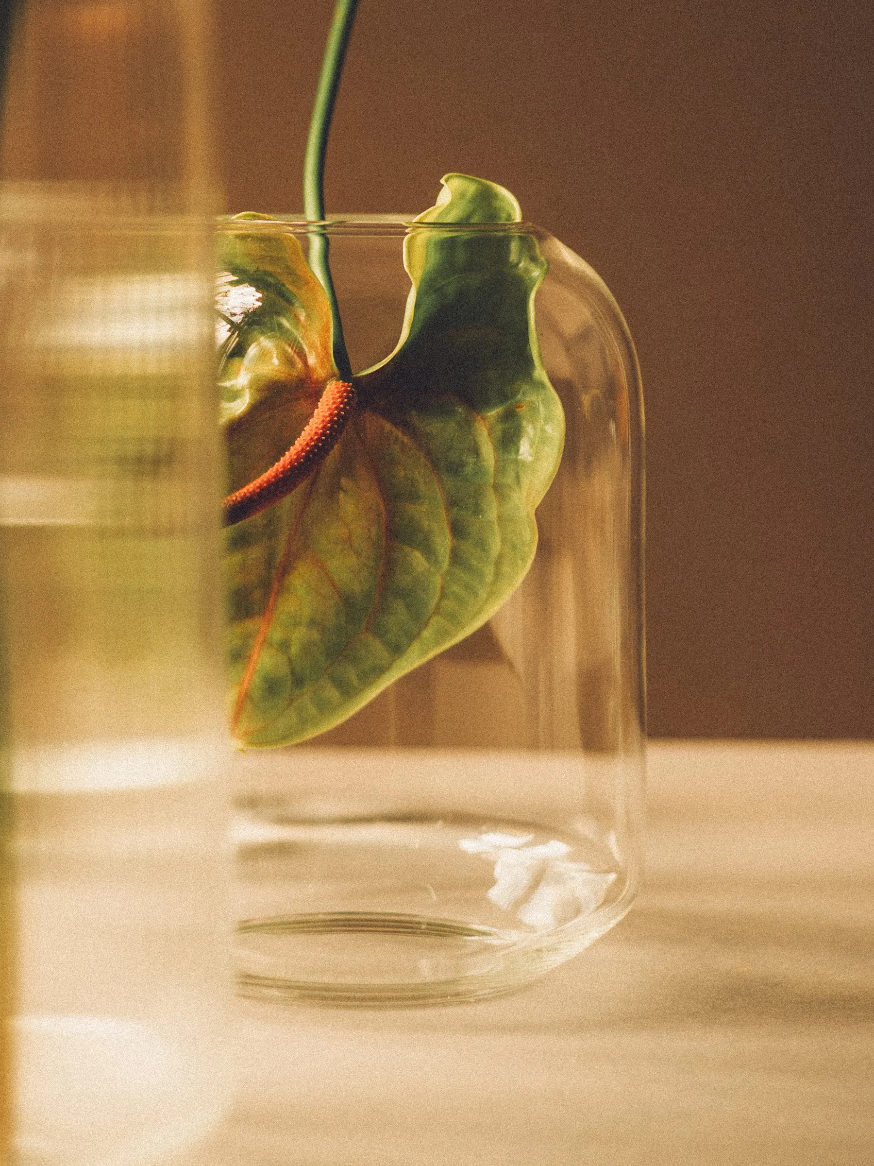 Elba Vase | Clear | Short