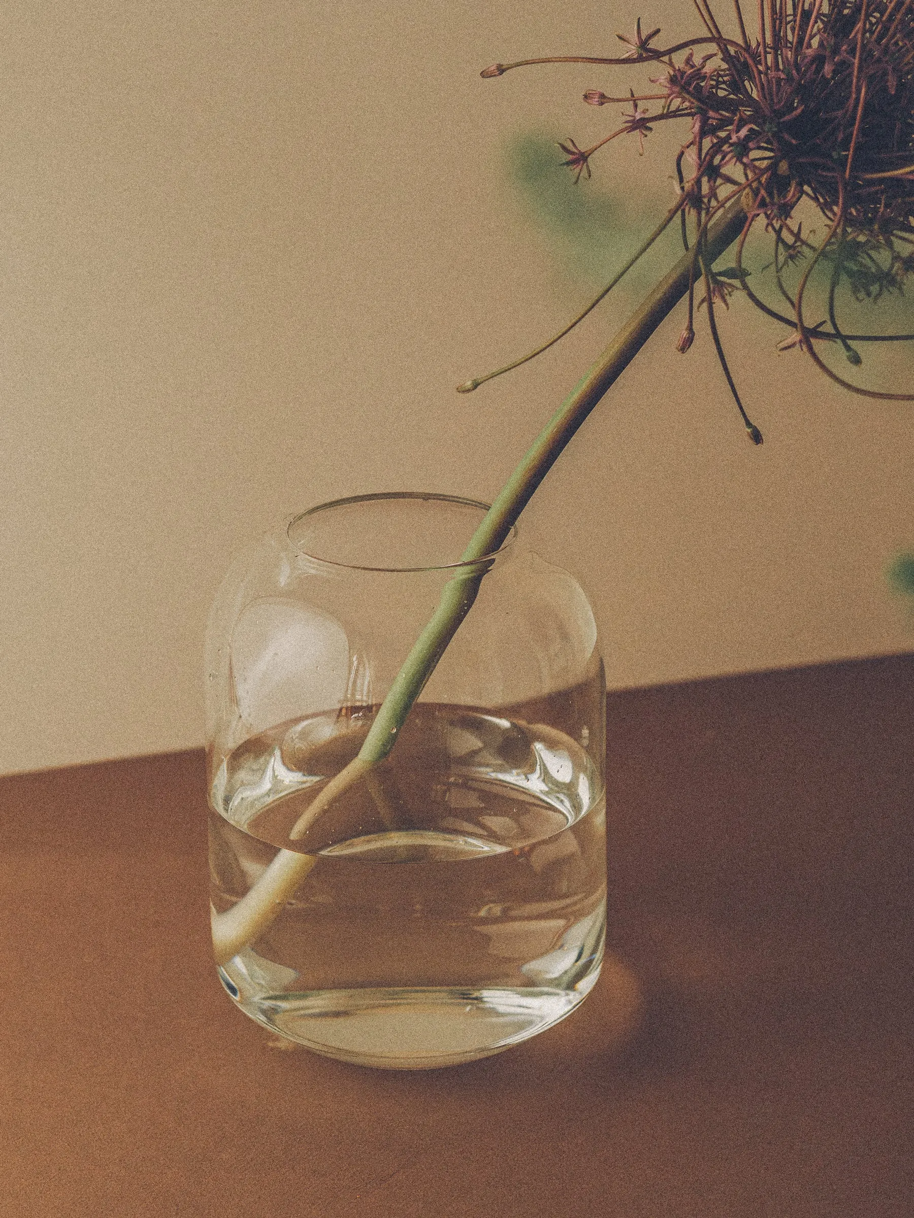 Elba Vase | Clear | Short