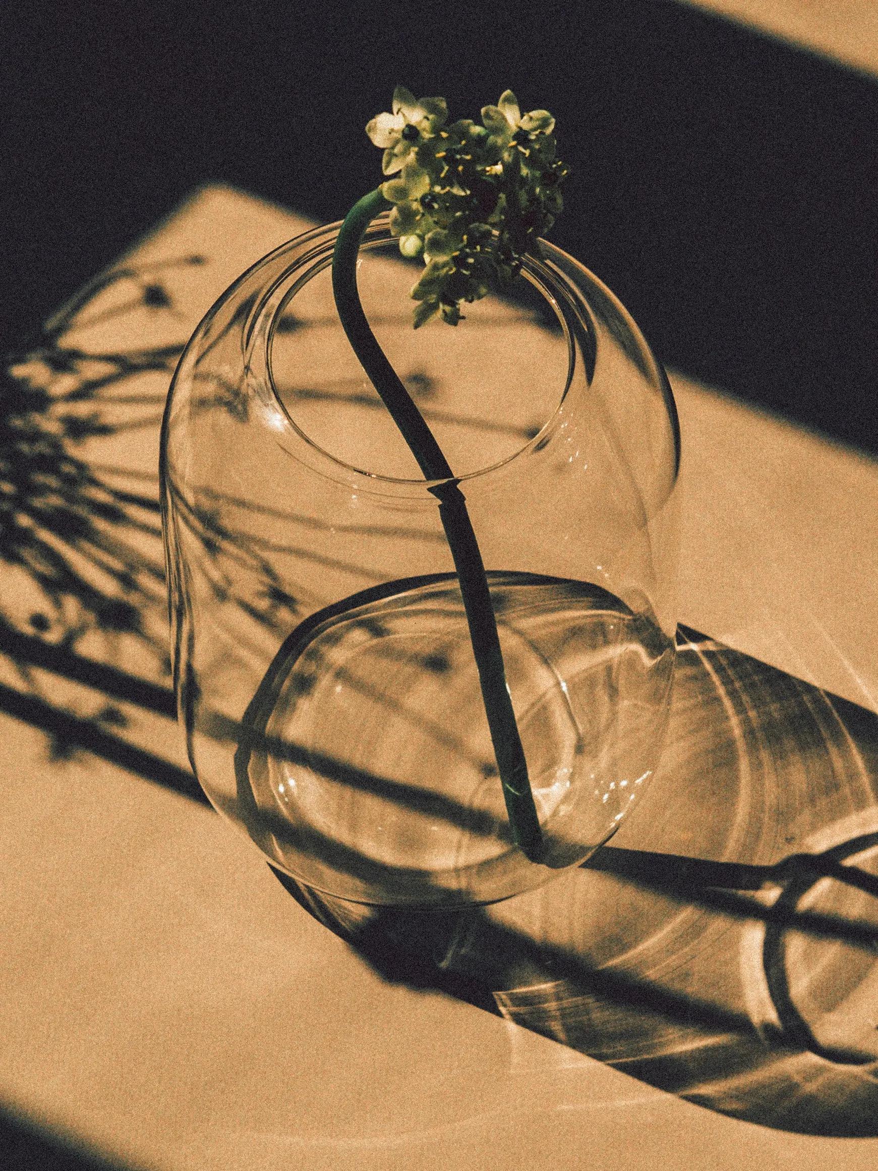 Elba Vase | Clear | Short