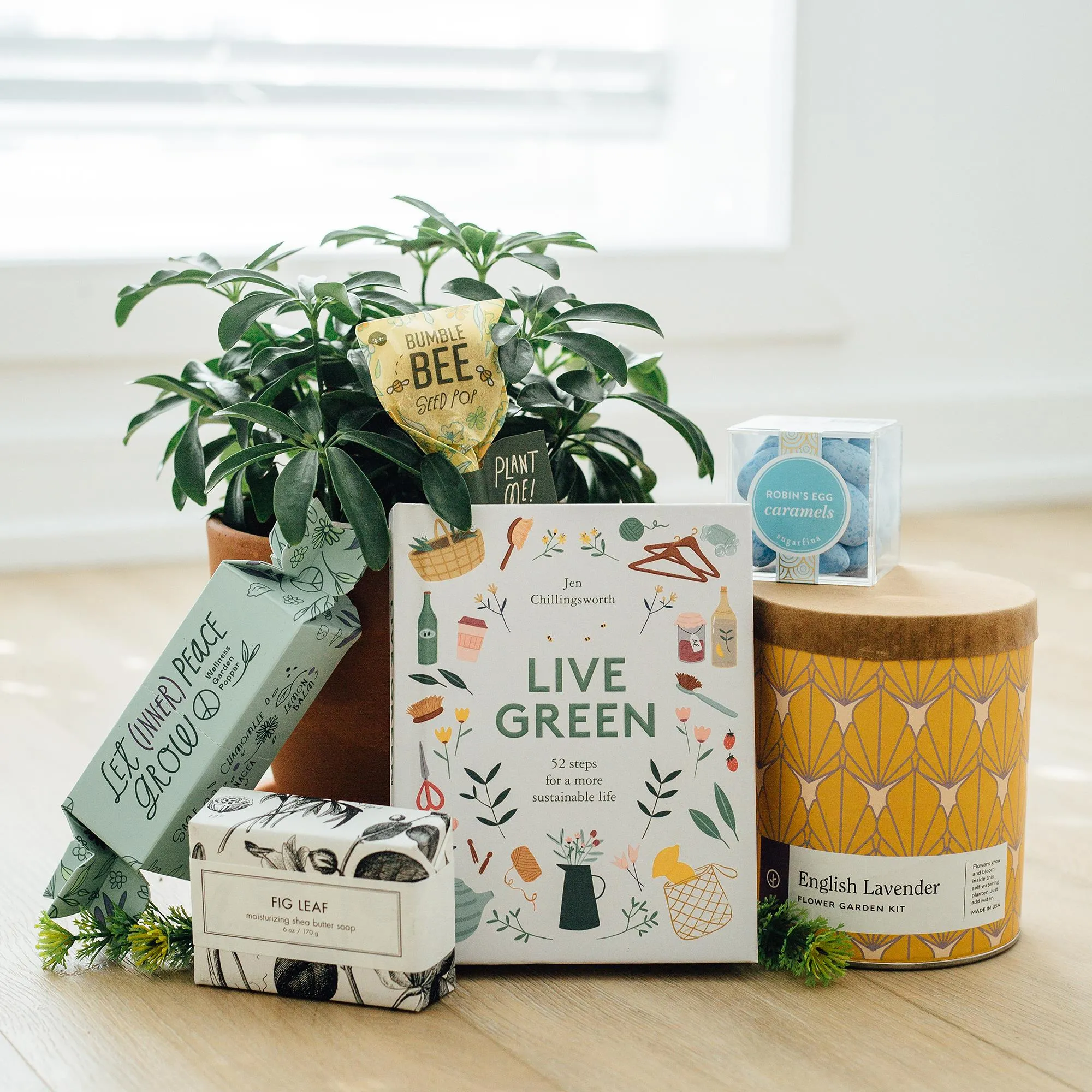 Give Spring! Gift Set